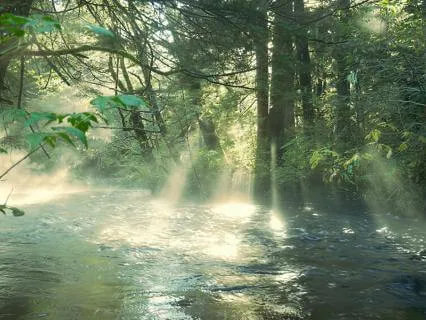 Water Is Life: Peaceful Nature Sounds With Music