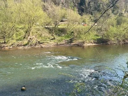 Water Journey - A Gentle Energy Cleansing Meditation