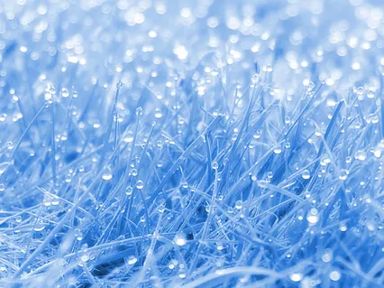 Water Journey (Diverse Sound Tour)