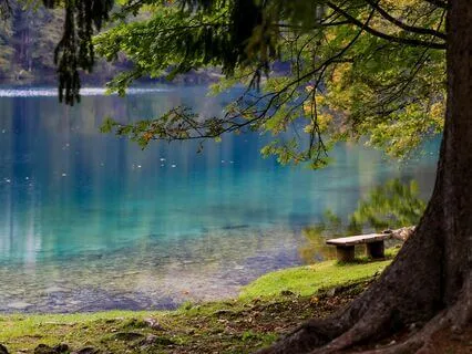 Water Loving-Kindness Meditation (Metta)