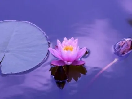 Water Meditation For  Sleep, Rejuvenation And Anxiety Relief