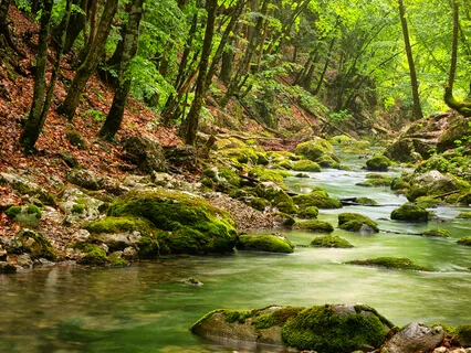 Water Meditation - Let Yourself Drift Away