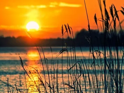 Instrumental Water Element Meditation