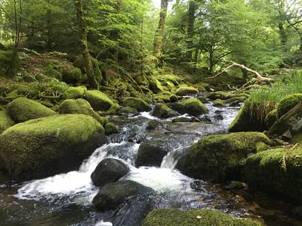 Water Prayer By The River