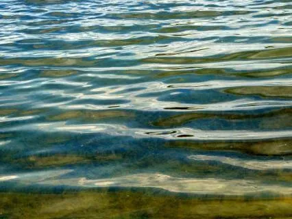 Water Ripples & Nature Sounds (8 Hours)