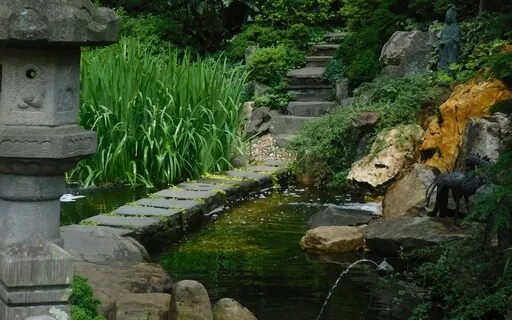 Water Sound/Music For Relaxing