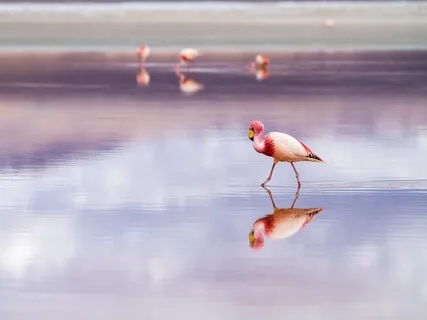 Water Sounds Relaxation