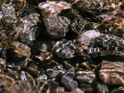 Water Sound Of Nature - Wild Stream ❘ Calming & Healing