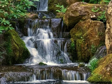 Waterfall & Bird Song