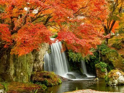 Waterfall Bowl Single