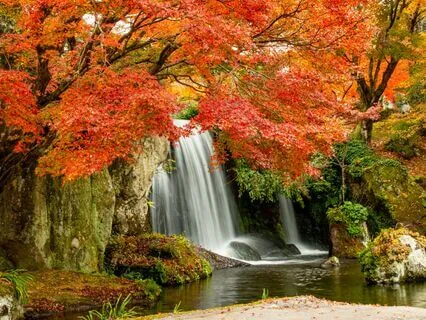 Waterfall Bowls
