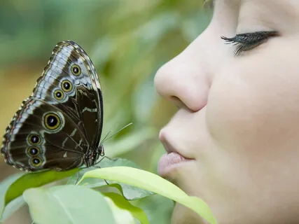 Waterfall: Butterfly Kisses