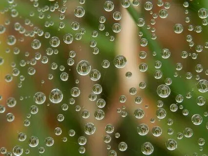 Waterfall: Calming And Imaginative Music For A Single Guitar