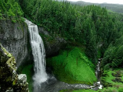 Waterfall Forest