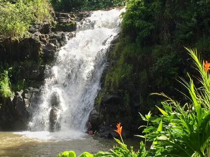 Waterfall Paradise - An Adventure Of Surrender