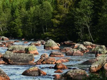 Waterfall Returning To The Flow