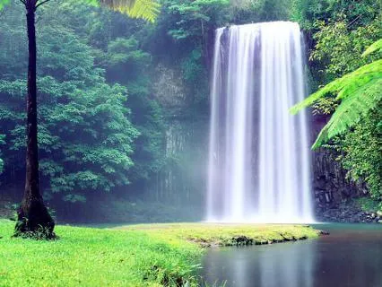 Waterfall Serenity
