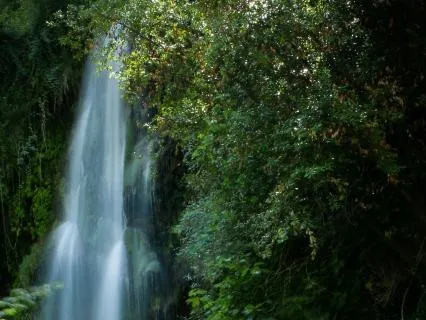 Waterfall Visualisation To Purge & Soothe Discomfort
