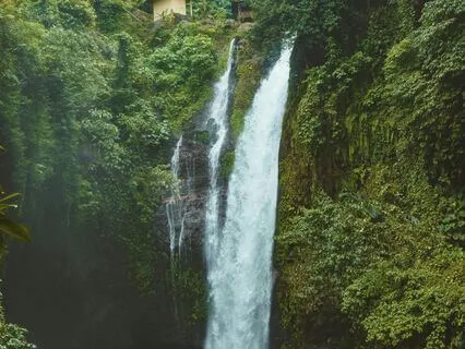 Waterfall Walk In The Woods