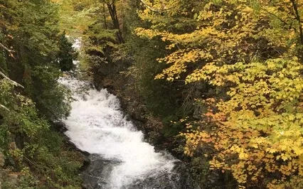 Waterfall White Noise ~ Live Recording