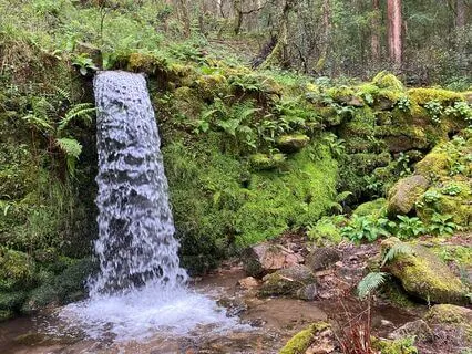 Waterfalls, Ponds, And Deep Calm: A Guided Visualization