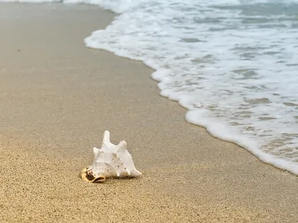 Wave Of Calm: Breathing Practice