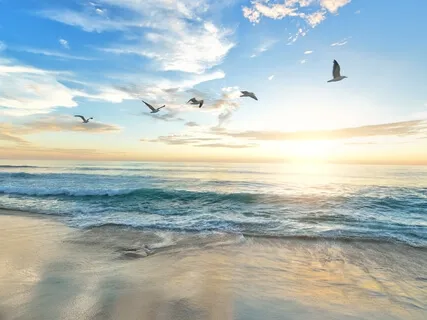 Dancing Waves & Piano Whispers