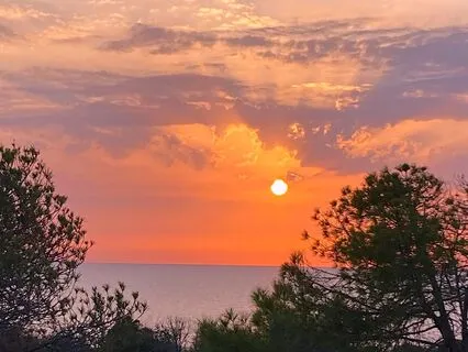 Waves And Birdies On A Summer Morning