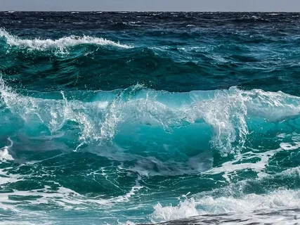 Waves & Birds Sound (Nature Sound)