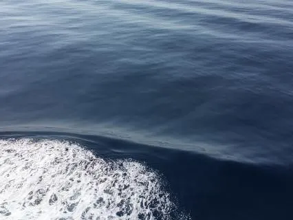 Waves Of Gratitude