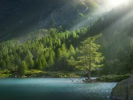 Waves Of Peace: Calm Your Mind