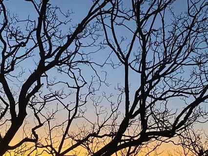 Waves Of Peace For Personal Meditation