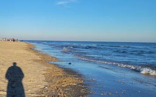 Waves Of Silence