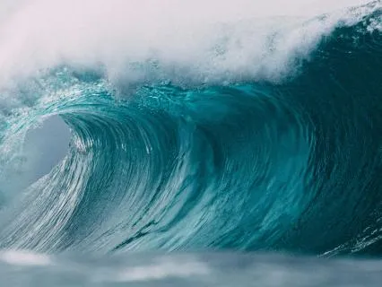 Waves Of Strategy — Sleep State