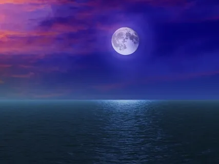 Waves Of Tranquility