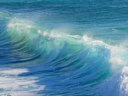 Waves - The Flow Of Life