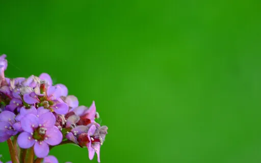 Way Of Meditation - Come Back And Begin Again