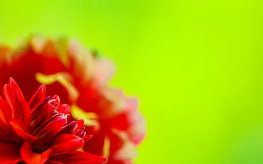 Way Of Meditation - Come Back & Begin Again