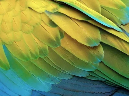 Wayne Dyer: The Gift Of Creation