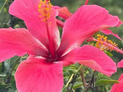 Ways Empaths Can Protect Themself