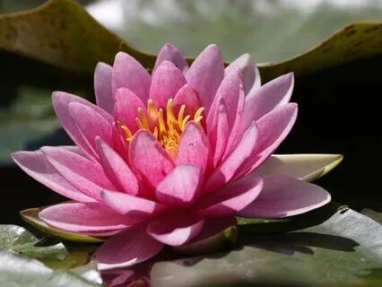 Ways Of Dealing With Procrastination At Work