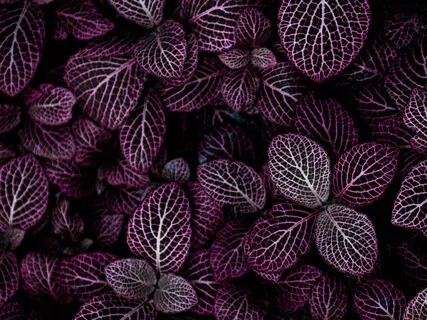 We All Have Addictions