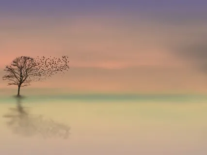 We Are All Bees By Sarah Blondin