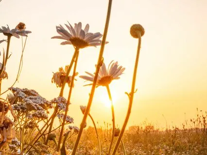 We Are All Connected  | Positive Vibes With LoFi Jazz Beats