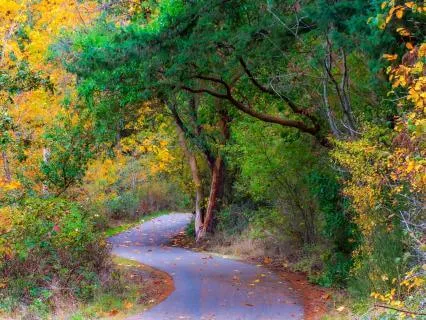 We Are All Connected