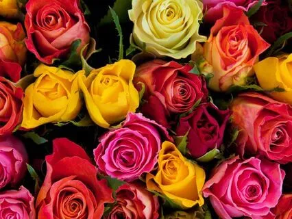 We Are All Part Of The Same Soul