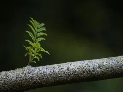 We Are Beautiful - Soundful Live IT Sessions