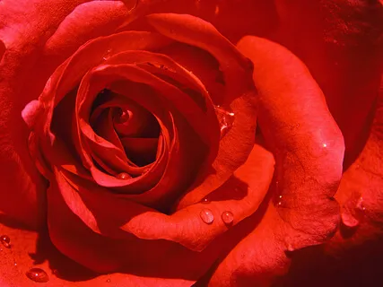 We Are Children Of The Divine. When You Look In The Mirror, What Do You See?