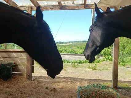 We Are Here With You