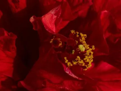 We Are In The Hands Of God